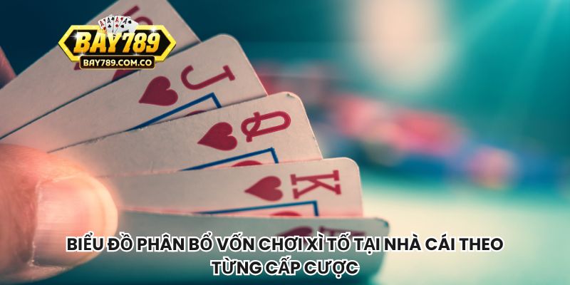 Biểu đồ phân bổ vốn chơi xì tố tại nhà cái theo từng cấp cược