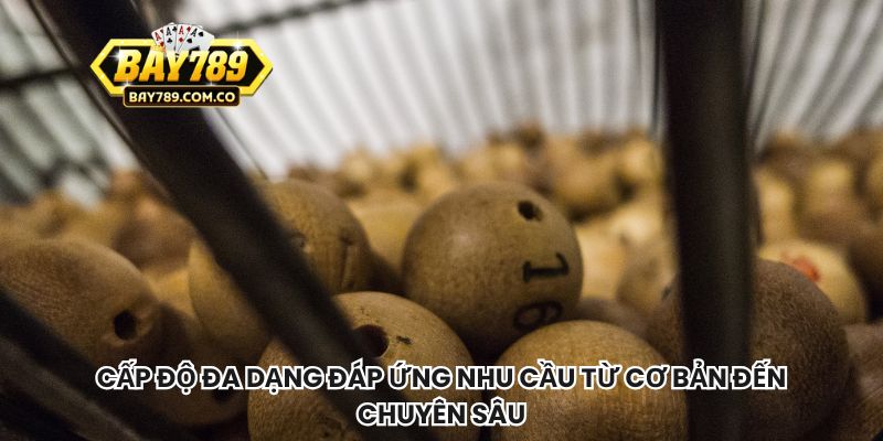 Cấp độ đa dạng đáp ứng nhu cầu từ cơ bản đến chuyên sâu