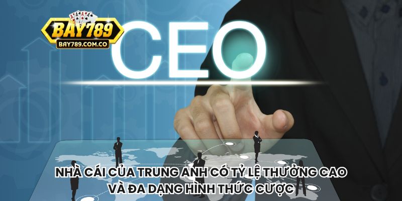 Nhà cái của Trung Anh có tỷ lệ thưởng cao và đa dạng hình thức cược
